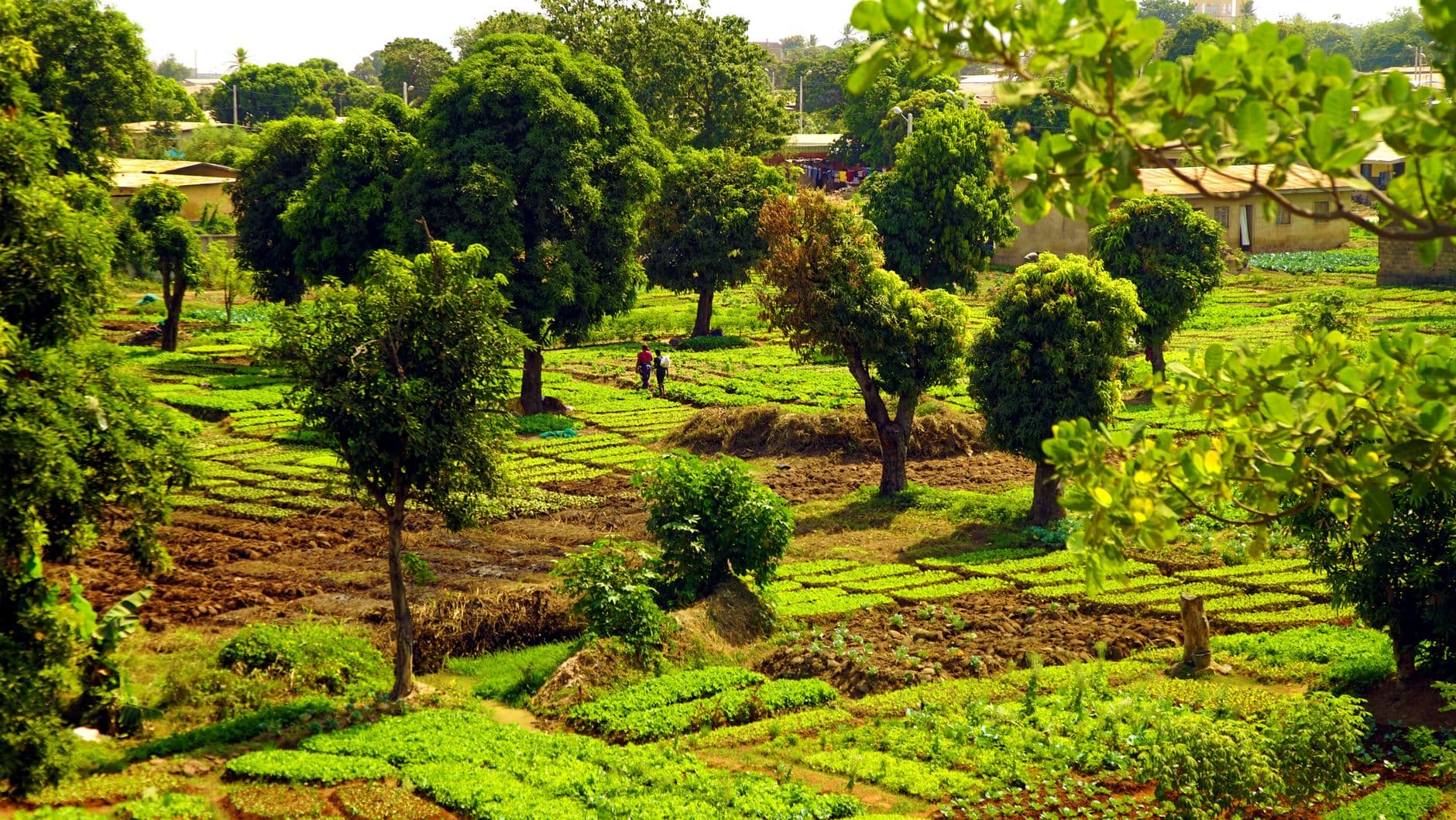 Burkina Faso — travel eSIM